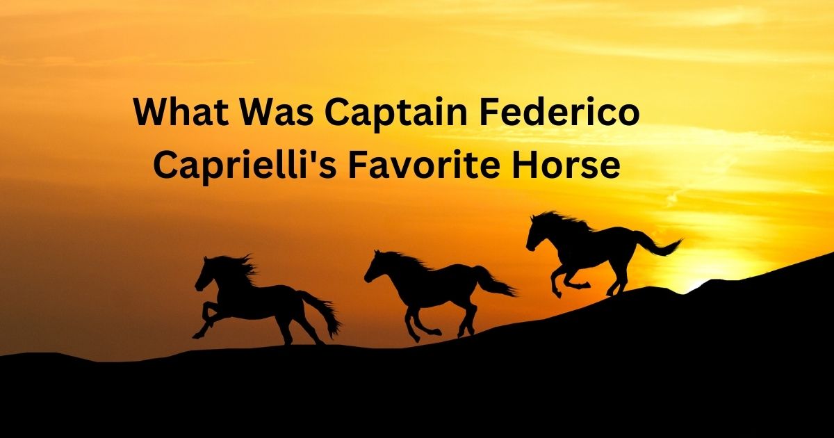 What Was Captain Federico Caprielli's Favorite Horse